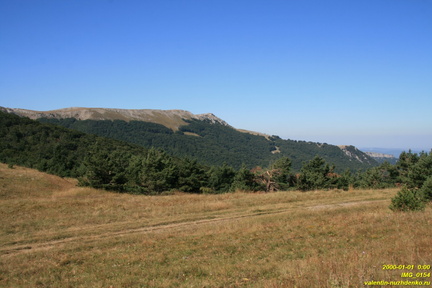 IMG 0154