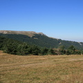 IMG 0155