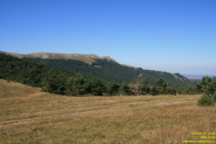 IMG 0155