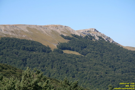 IMG 0156