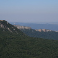 IMG 0157