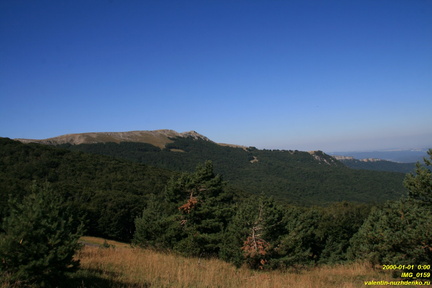 IMG 0159