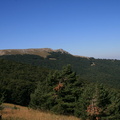 IMG 0160