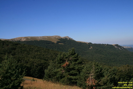 IMG 0160