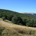 IMG 0161
