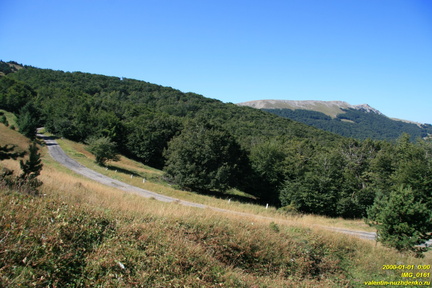 IMG 0161