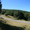 IMG 0162