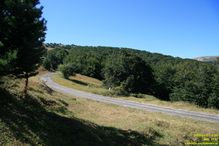 IMG 0162