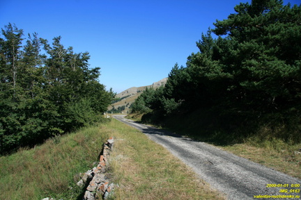 IMG 0163
