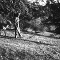 1203-014