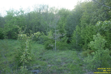 IMG 1533