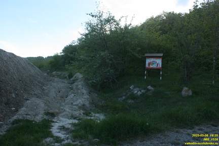 IMG 1536