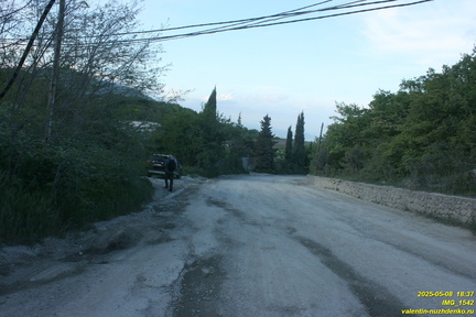 IMG 1542