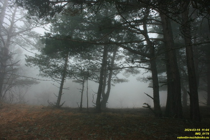 IMG 0179