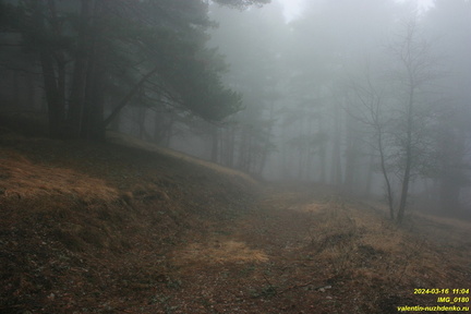IMG 0180
