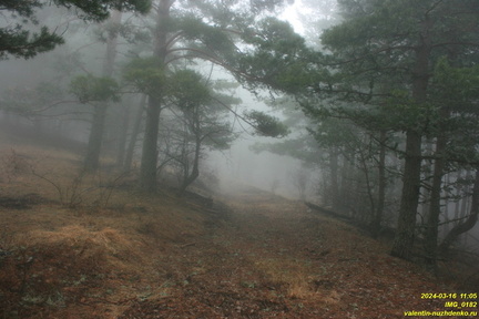 IMG 0182