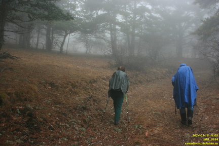 IMG 0184