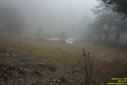 IMG 0193
