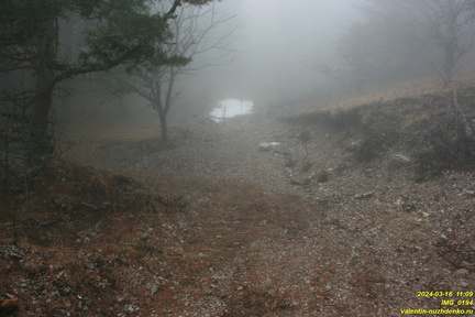 IMG 0194