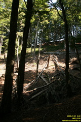 IMG 0164