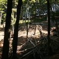 IMG 0164