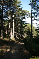IMG 0383