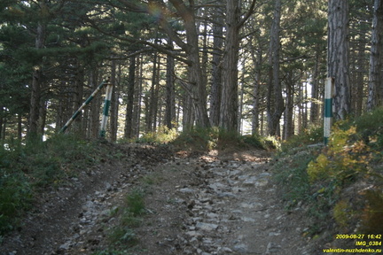 IMG 0384