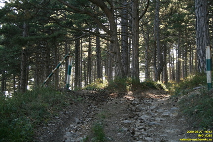 IMG 0385