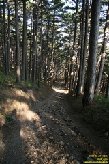 IMG 0386