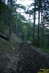 IMG 0387