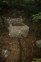 IMG 0388