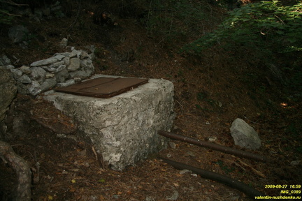 IMG 0389