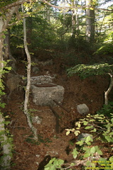 IMG 0390