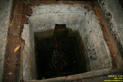 IMG 0391