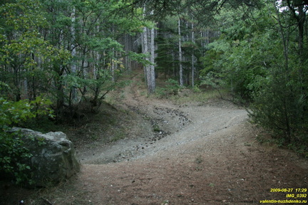 IMG 0392