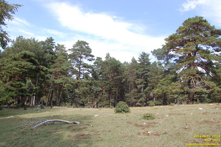 DSC 0053