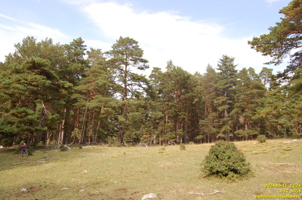 DSC 0054