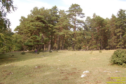 DSC 0055