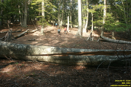 IMG 0493