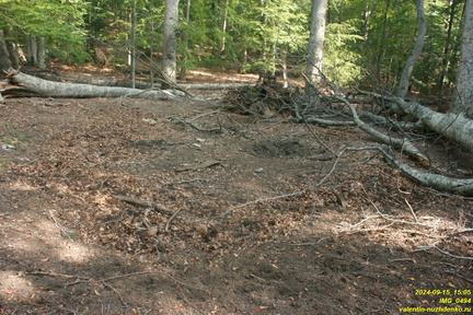 IMG 0494