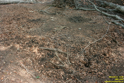 IMG 0495
