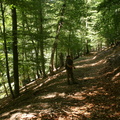 IMG 0472
