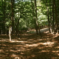 IMG 0474