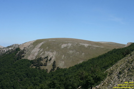 X-IMG 0078