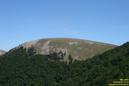 X-IMG 0080