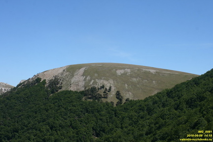 X-IMG 0081