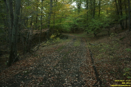 IMG 0914