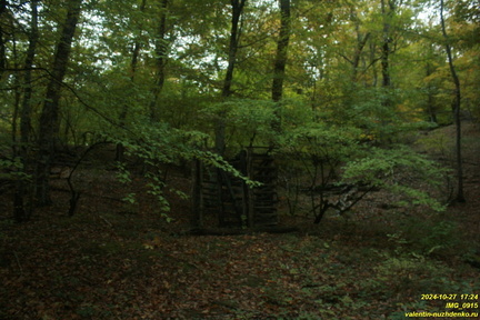 IMG 0915