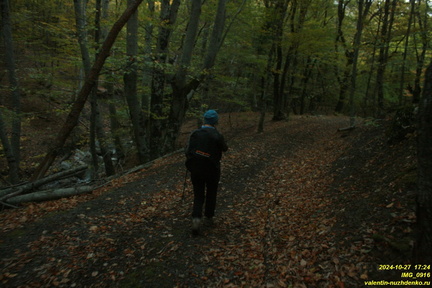 IMG 0916