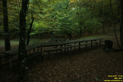 IMG 0917